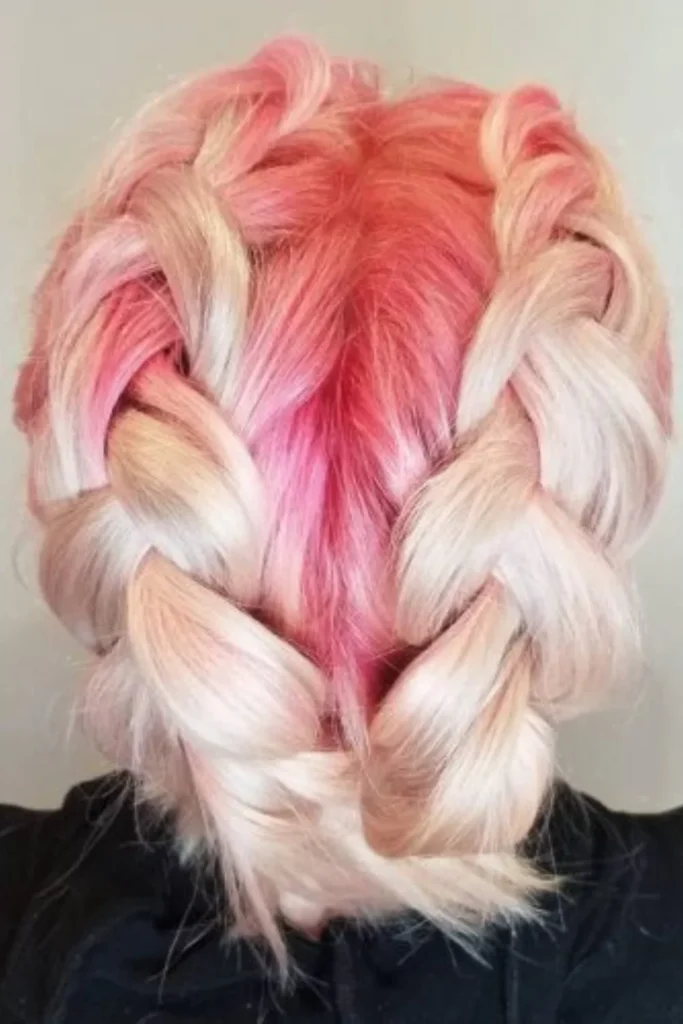 Double French Braid Updo