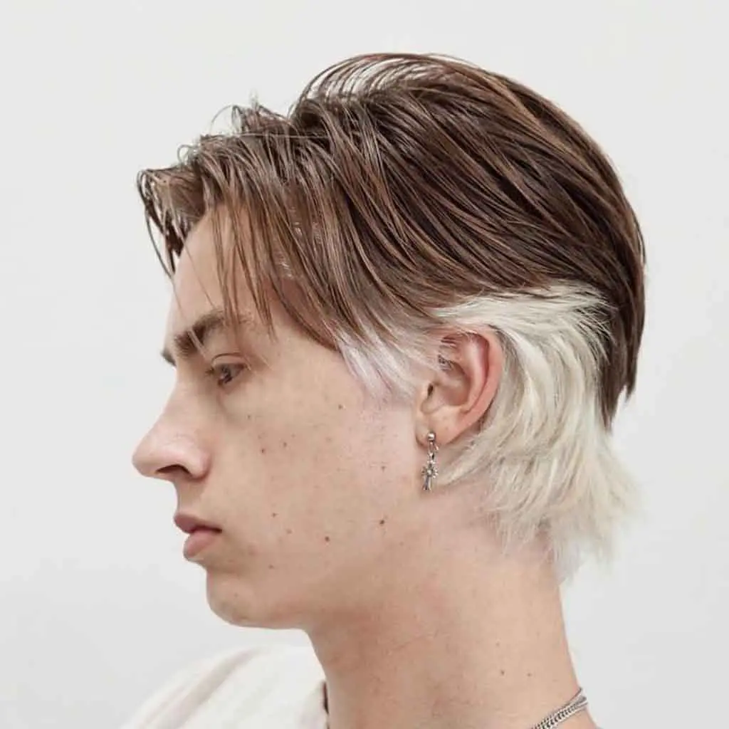 Duo-Toned Wolf Cut on Straight Hair