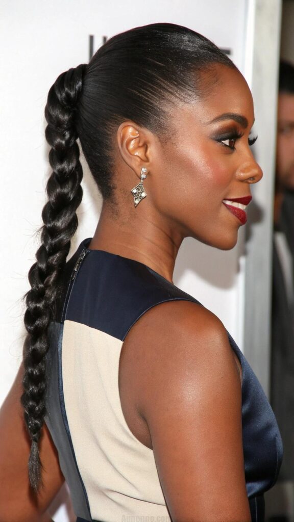 Two Braids with a Low Ponytail